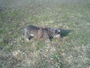 image0113