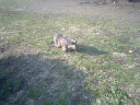 image0114
