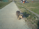 image0116