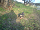 image0118