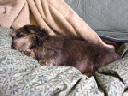 image0120
