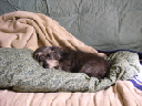 image0121
