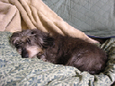 image0122