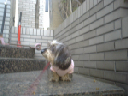 image0125