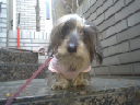 image0128