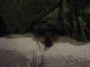 image0133