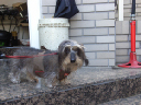 image0134