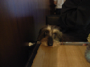 image0135